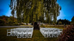 chaiirs 1717092442.jpg Garden Chairs- White padded seats