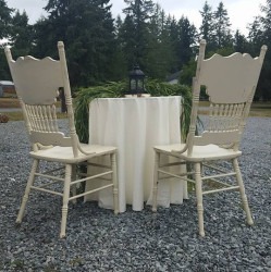 14717117 1278181005548164 2187034971912323600 n202 1739558424 1 Sweetheart table package- 48"