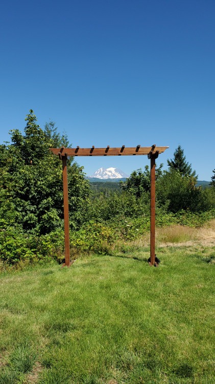 Garden Arbor (set up included)