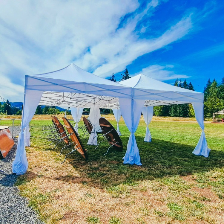 Canopy 10x20 w/leg drapes (set up included)